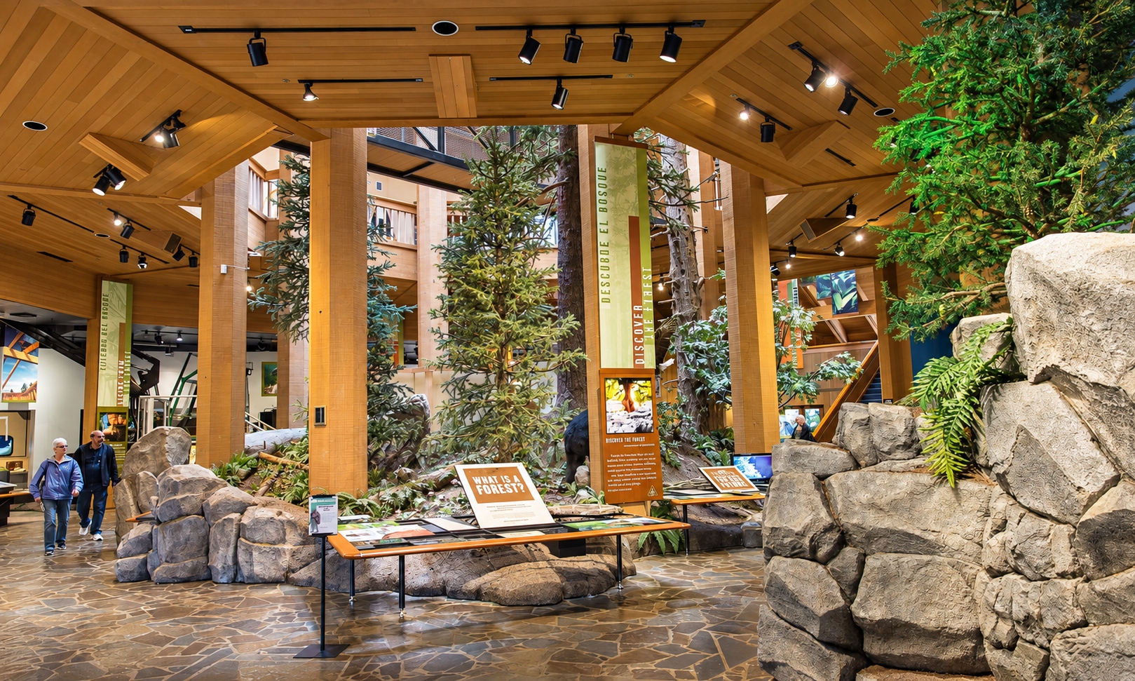 Interior of the World Forestry Center Discovery Museum, a timber hall filled with trees and forest exhibits in Portland.
